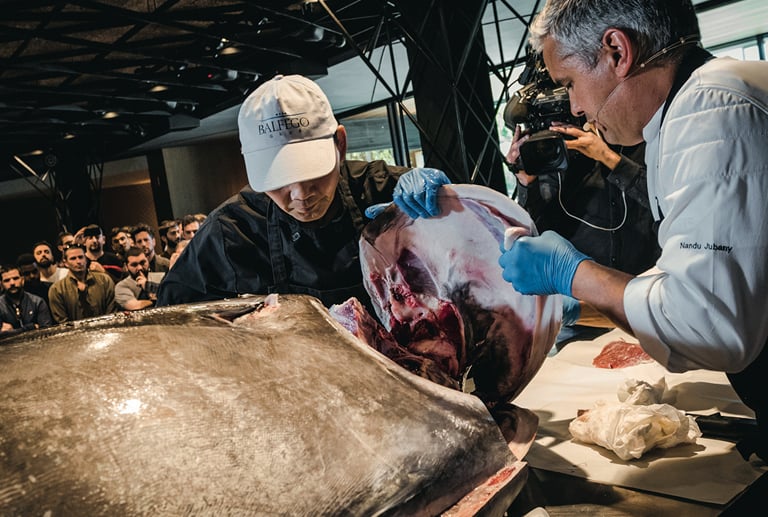 Ronqueo de un atún de 195 kilos en nuestro Salón Enredos.